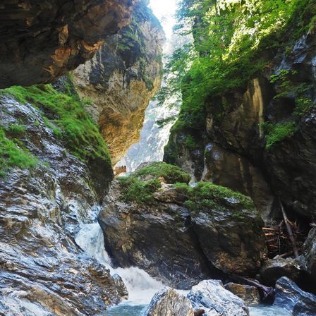 Bild enthält, Rock, Nature, Outdoors, Wilderness, Vegetation, Rainforest, Jungle, Landscape, Scenery, Green