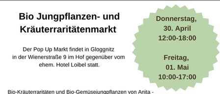 Flyer für den Pop Up Markt mit Bio-Jungpflanzen und Kräutererzeugnissen. Er findet am 30. April 2024 von 12:00 bis 18:00 und am 1. Mai 2024 von 10:00 bis 17:00 in Gloggnitzer statt. Besuchen Sie www.culturefly.net.
