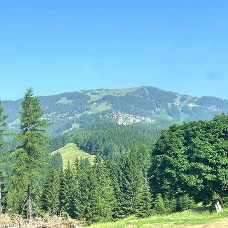 Ein Panoramablick auf einen bewaldeten Berg mit einem Dorf im Tal darunter unter einem klaren Himmel.