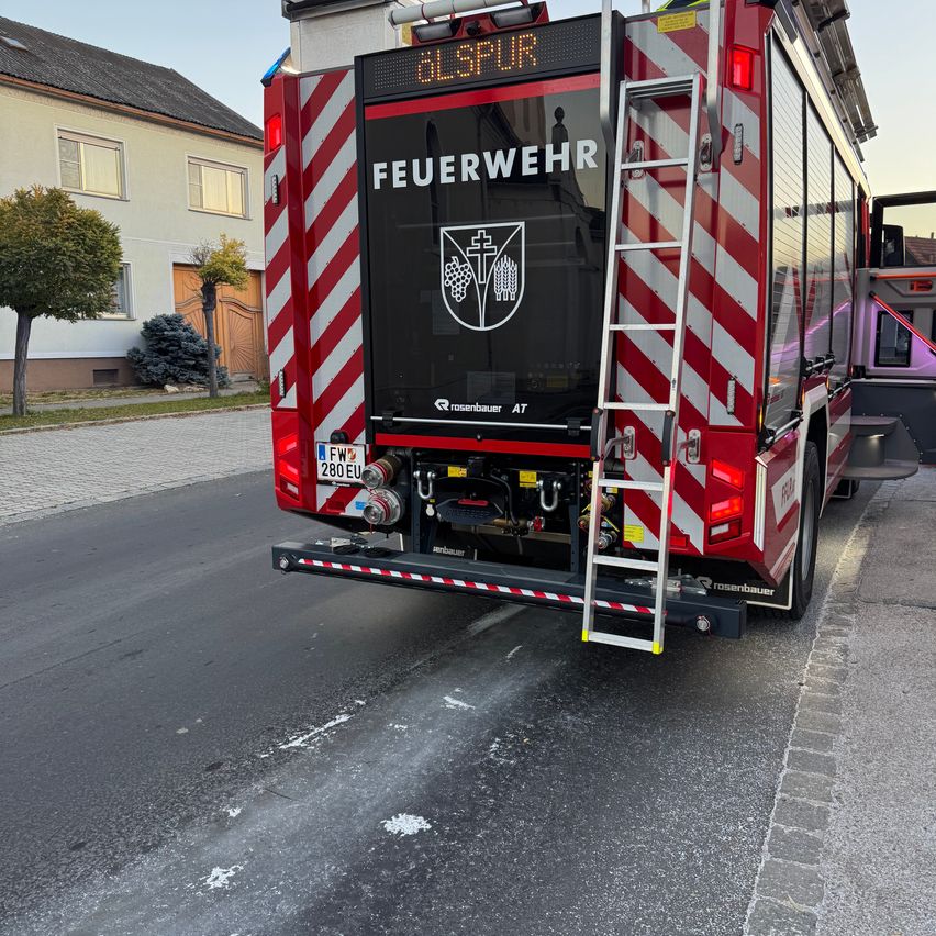 The rear view of a fire truck with a ladder extended, parked on a street with a building and a tree in the background. The truck's license plate reads 'FW 280 EU'.