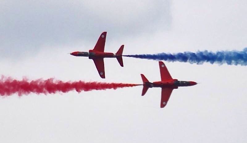 Animal, Bird, Flying, Aircraft, Airplane, Jet, Vehicle, Smoke