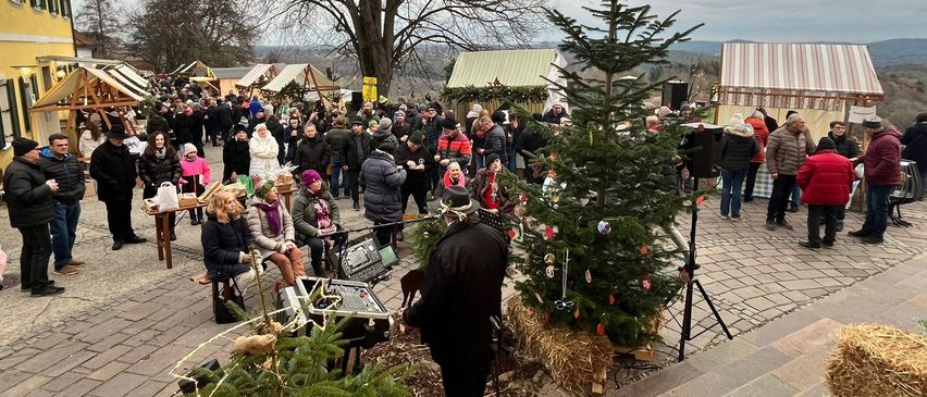 Eine Menschenmenge versammelt sich um geschmückte Weihnachtsbäume im Freien. Ein Mann steht mit einem Mikrofon vor einem Baum. Leute sitzen auf Bänken und Tischen, einige mit Taschen. Im Hintergrund sind Gebäude und Bäume zu sehen.