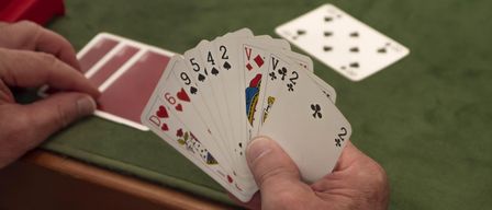 Eine Person hält mehrere Spielkarten in der Hand. Die Karten liegen auf einem grünen Tischtuch.