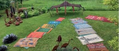 Bild enthält, Backyard, Nature, Outdoors, Yard, Grass, Garden, Park, Lawn, Grassland, Bird