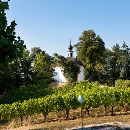 Bild enthält, Nature, Outdoors, Countryside, Rural, Farm, Vineyard, Building, Alcohol, Beverage, Wine Tour