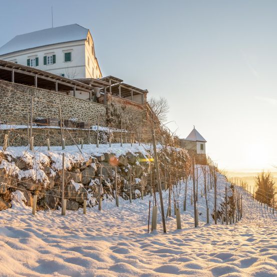 Bild enthält, Building, Outdoors, Shelter, Countryside, Hut, Nature, Scenery, Tree, Fir, Utility Pole