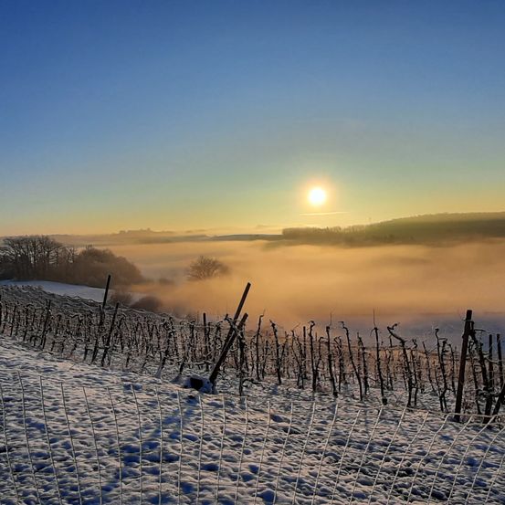 Bild enthält, Nature, Outdoors, Scenery, Landscape, Sky, Sunrise, Weather, Sunlight, Snow, Panoramic