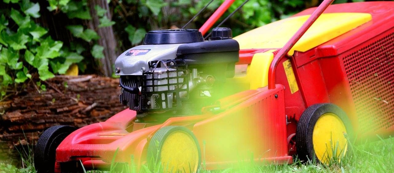 v1_migrated_image_43070355