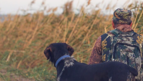 v1_migrated_image_29498452