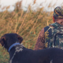 v1_migrated_image_22279811