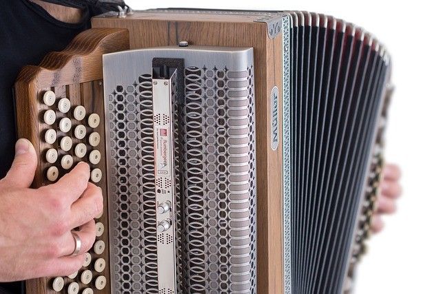 Musical Instrument, Accordion, Adult, Male, Man, Person