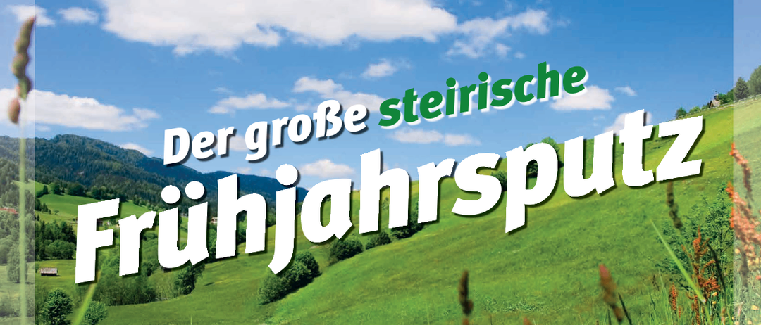 Das Plakat bewirbt die 'Steirische Fruhjahrsputz', eine Veranstaltung vom 21. März bis 9. Mai 2026. Das Bild zeigt ein üppiges grünes Feld mit Blumen und Bergen im Hintergrund. Zwei Logos sind zu sehen: 'STOP Littering' und ein rundes Emblem mit einem Pferd. Das Datum ist fett hervorgehoben. QR-Codes befinden sich am unteren Rand.