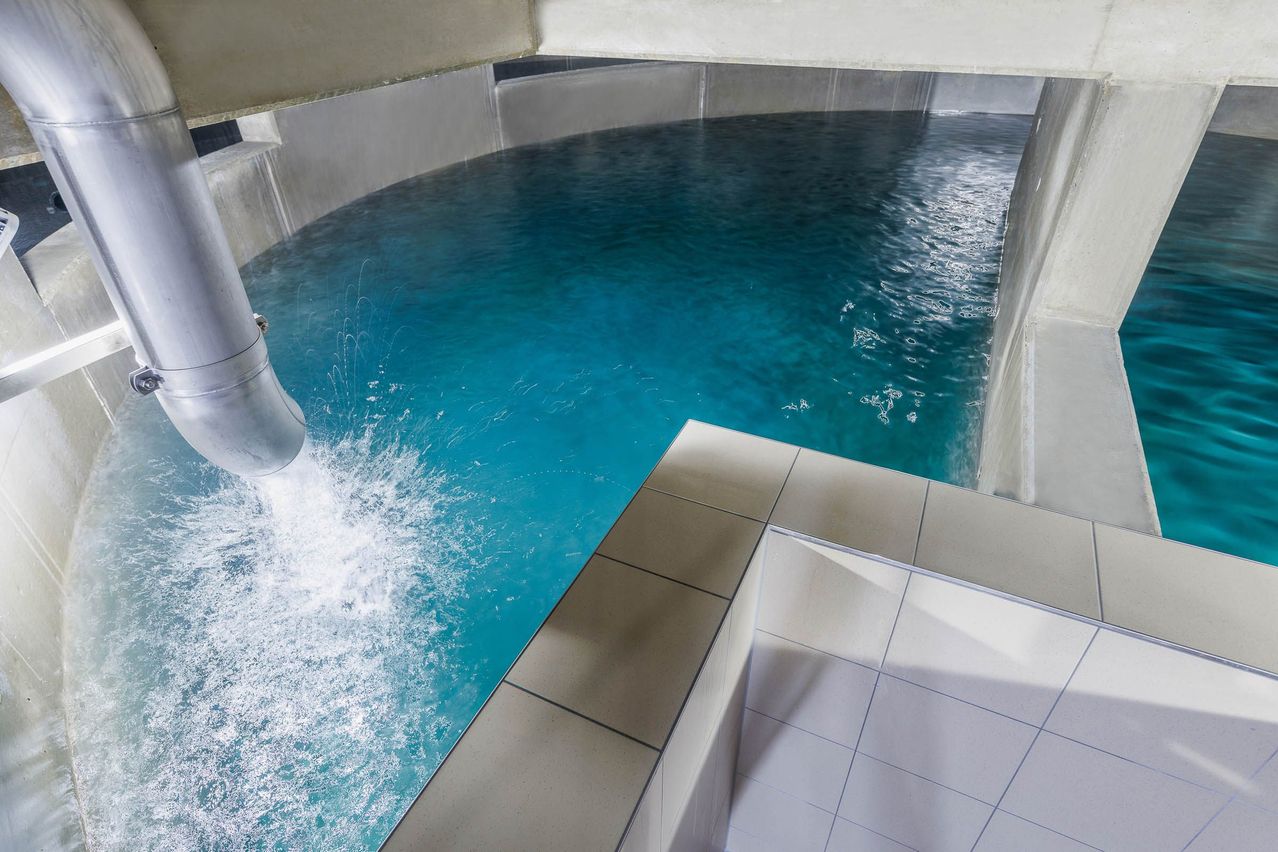 Eine oberirdische Ansicht eines großen, rechteckigen Beckens, gefüllt mit klarem blauem Wasser. Wasser fließt aus einem Rohr auf der linken Seite in das Becken.
