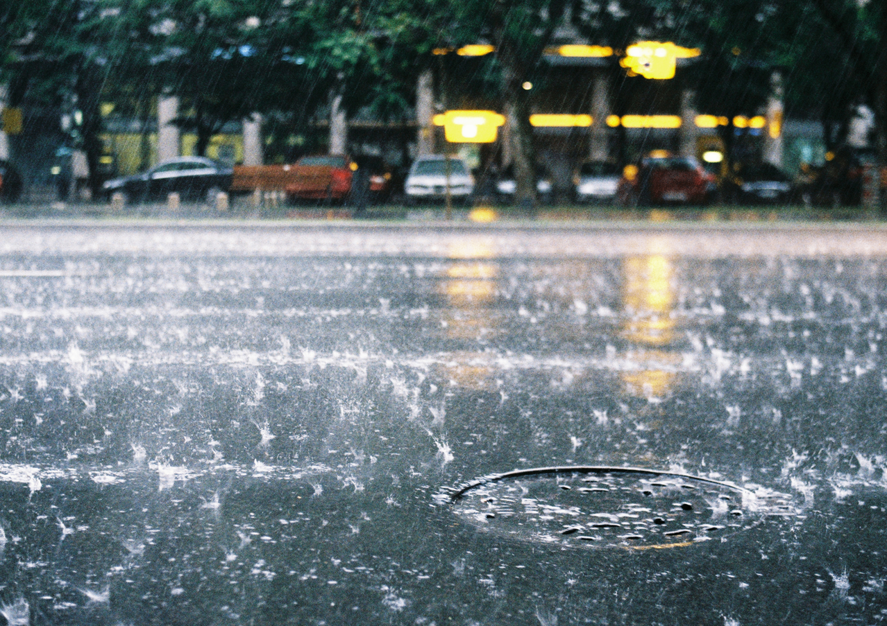 Eine regnerische Straße mit geparkten Autos am Straßenrand. Bäume und ein Gebäude mit Lichtern sind im Hintergrund zu sehen.