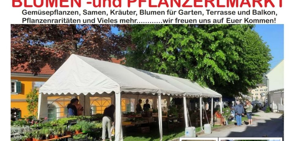 Gartenbauvereins-Veranstaltung am 10. Mai. Verkauf von Pflanzen, Samen, Kräutern, Blumen und mehr. Besuchen Sie uns in Ubelbach-Alter 8124.