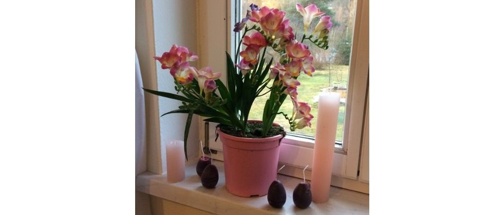 Ein rosa Topf mit Blumen auf einer Fensterbank, Kerzen auf beiden Seiten und ein Blick auf Bäume draußen.
