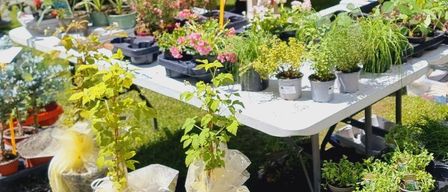 Drei Personen sitzen in der Nähe eines Tisches mit verschiedenen Topfpflanzen, vor dem Hintergrund eines gelben Gebäudes und geparkter Autos.