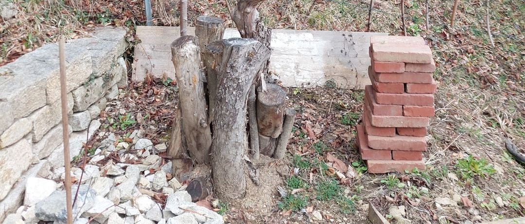 Ein geneigtes Waldgebiet mit kahlen Bäumen, einem Ziegelstapel und einem Holzzaun. Trümmer liegen um die Basis der Stämme.