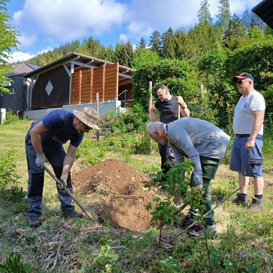 Fünf Männer arbeiten in einem Garten. Einer gräbt mit einer Schaufel, ein anderer hält einen Rechen, und die anderen beobachten. Hinter ihnen steht ein Holzschuppen und es gibt viel Grün.