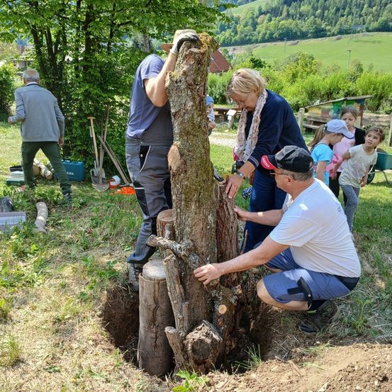 Eine Gruppe von Menschen arbeitet gemeinsam daran, einen Baumstumpf in einem Garten zu entfernen. Eine Frau und ein Mann halten den Baum, während ein Mann ihn mit einer Säge schneidet.