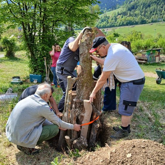Mehrere Personen arbeiten in einem Hof an einem Baum, einer hält einen Baumstamm, ein anderer ein Werkzeug, und eine Frau steht in der Nähe. Die Szene spielt sich im Freien ab, mit einem üppigen grünen Feld im Hintergrund.