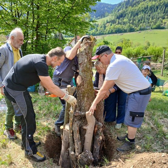 Eine Gruppe von Menschen pflanzt einen Baum. Ein Mann benutzt eine Säge an einem Baumstamm, während ein anderer ihn hält. Sie stehen in einem Loch mit grünem Gras und Bäumen im Hintergrund.