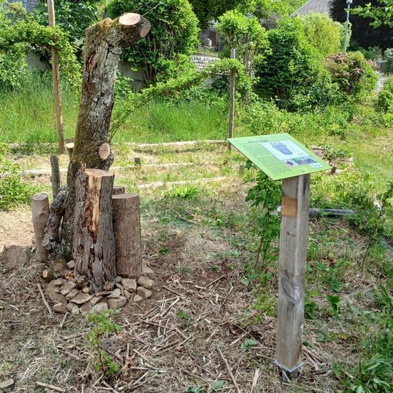 Ein Baumstumpf und ein Schild in einem Grasbereich. Der Baumstumpf hat mehrere Holzstücke. Das Schild ist an einem Holzpfahl befestigt.