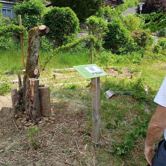 Eine Person beobachtet einen Gartenbereich mit einem Holzschild. In der Nähe befindet sich ein geschnittener Baumstumpf mit Steinen und einem Holzpfosten.