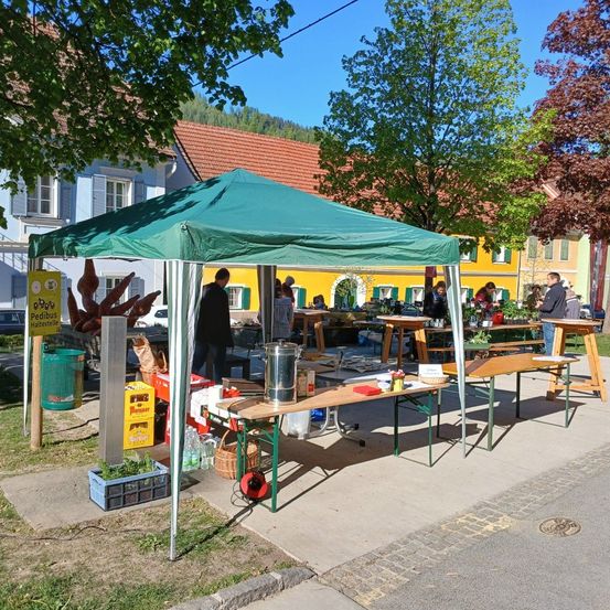 Ein grünes Zelt steht an einer Straßenecke. Mehrere Leute stehen herum und schauen sich die Artikel auf den Tischen an. Das Gebiet ist von Bäumen und Gebäuden umgeben.