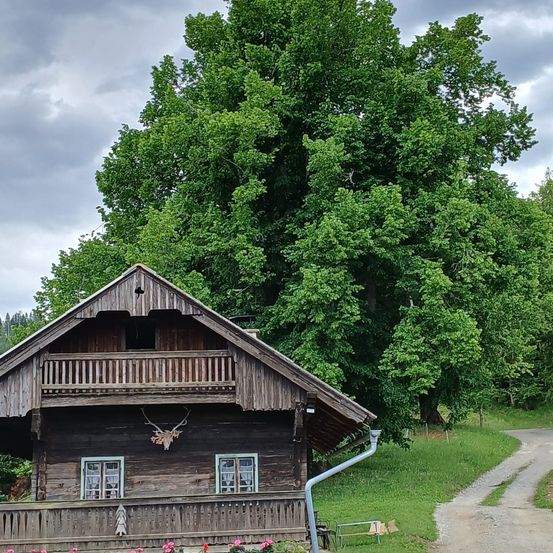 Ein traditionelles Holzhaus mit Hirschgeweih über der Tür, umgeben von üppigen grünen Bäumen und Blumen. Ein Weg führt zum Haus.