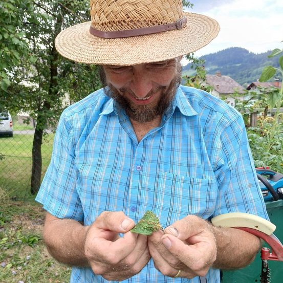 Ein Mann mit Strohhut und blauem Karohemd hält ein kleines grünes Blatt in den Händen. Er steht in einem Garten mit Zaun und Haus im Hintergrund.