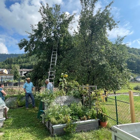 Drei Personen arbeiten in einem Garten mit einer Leiter an einem Baum, umgeben von Pflanzen und einem Zaun. Eine Frau sitzt auf einer Bank und ein Mann steht neben einem Metallbehälter.