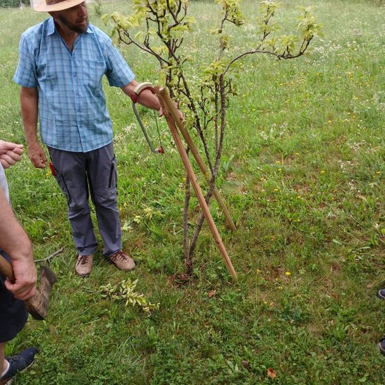 Ein Mann in einem karierten Hemd und Hut hält einen Baum mit einem Werkzeug in der Hand.