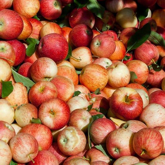 Bild enthält, Apple, Food, Fruit, Plant, Produce