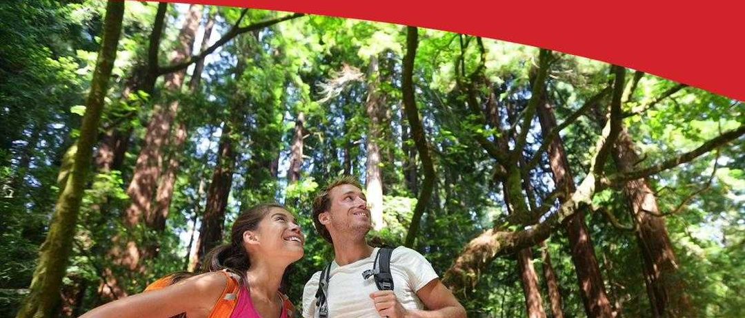 Bild enthält, Land, Rainforest, Tree, Vegetation, Grove, Woodland, Jungle, Photography, T-Shirt, Portrait