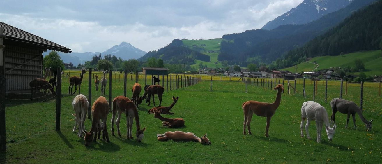 v1_migrated_image_70222830