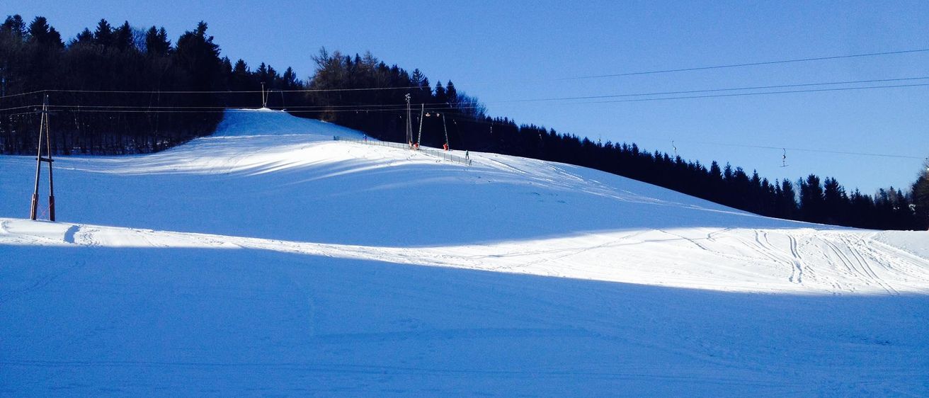 Bild enthält, Slope, Tree, Nature, Outdoors, Scenery, Land, Piste, Fir, Vegetation, Landscape