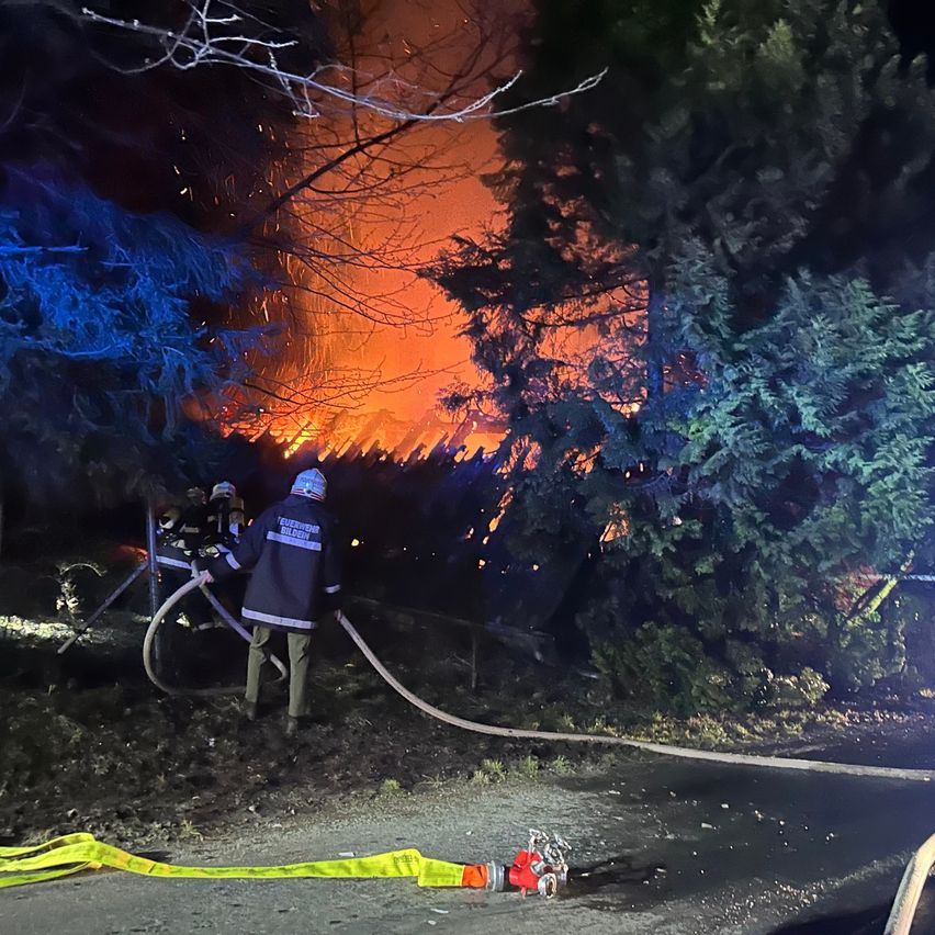 Firefighters battle a blaze in a forest at night, with trees burning in the background.