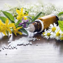 Bild enthält, Herbal, Herbs, Plant, Food, Cooking Oil, Can, Tin