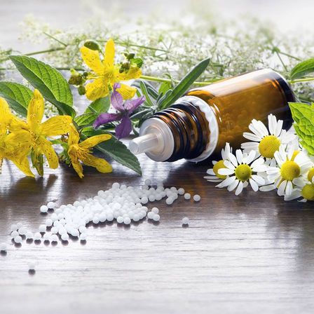 Bild enthält, Herbal, Herbs, Plant, Food, Cooking Oil, Can, Tin