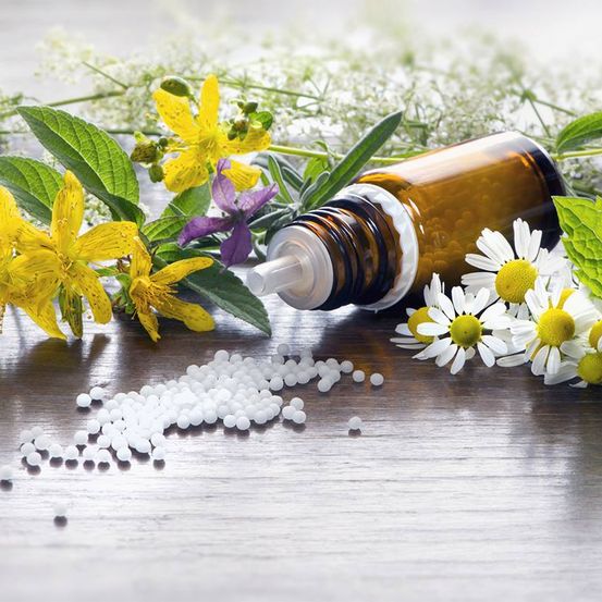 Bild enthält, Herbal, Herbs, Plant, Food, Cooking Oil, Can, Tin