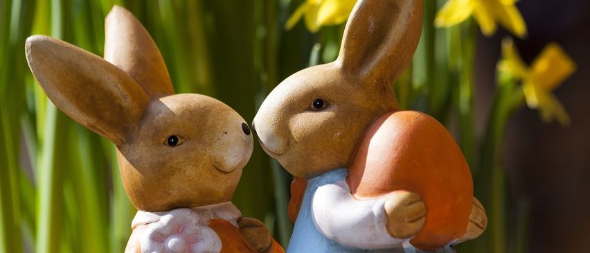 Bild enthält, Figurine, Flower, Plant, Toy, Daffodil