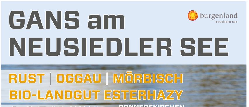 Plakat für die Nestelsee-Veranstaltung mit weißen Gänsen. Es enthält Details wie Datum, Uhrzeit, Ort und Aktivitäten. Wasserkörper im Hintergrund.