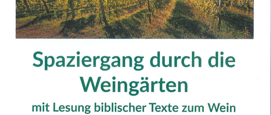 Ein Bild eines Weingartens mit Reihen von Weinreben, einem blauen Himmel und Text auf Deutsch. Der Text erwähnt eine geführte Tour durch Weinberge mit biblischen Texten über Wein an bestimmten Donnerstagen um 10 Uhr. Der Treffpunkt ist die Evangelische Kirche, und eine Anmeldung ist nicht erforderlich. Die Dauer beträgt etwa 1,5 Stunden.