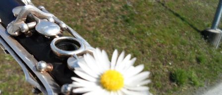 Ein silbernes und schwarzes Klarinette mit einer weißen Gänseblümchenblume auf seinen Tasten. Die Blume hat weiße Blütenblätter und ein gelbes Zentrum.