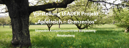 VostellungLeader-Projekt