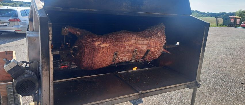 Saugrillen
