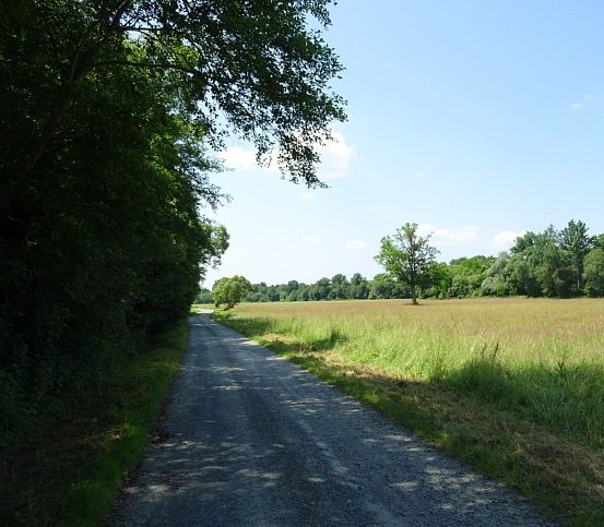 Ein Kiesweg erstreckt sich durch ein grasiges Feld, gesäumt von Bäumen und Büschen, unter einem blauen Himmel.