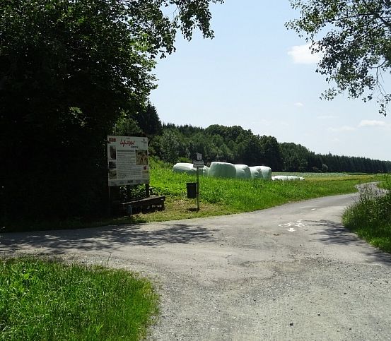 Eine Schotterstraße durch eine grüne Landschaft mit einem Schild links. Im Hintergrund zeigt sich ein Hügel mit Bäumen und blauem Himmel.