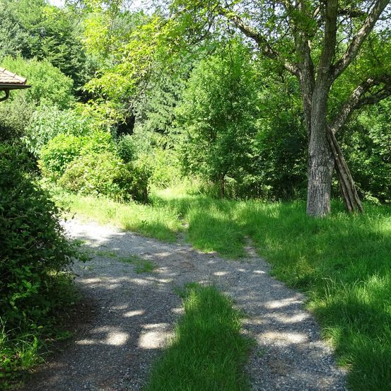 Ein Kiesweg schlängelt sich durch einen üppigen, grünen Wald mit einem großen Baum rechts und einem sichtbaren Dach auf der linken Seite.